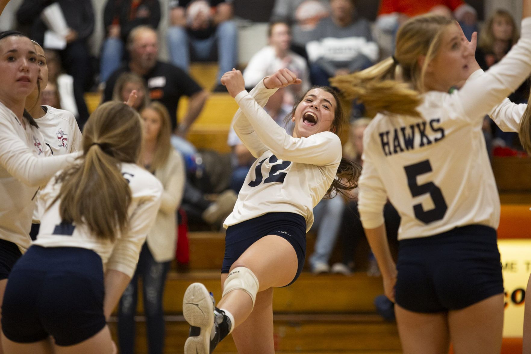 Class 1A Raymond Lincolnwood Sectional semifinal